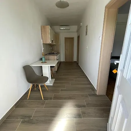 Apartment Roko