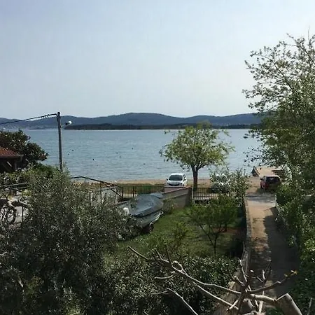 Roko