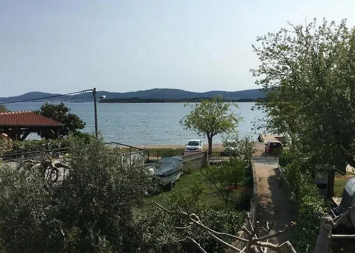 Roko